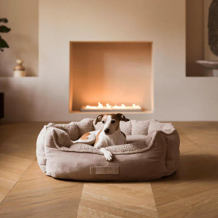 Hundekissen aus Schaumstoff | Hundebett selber machen!